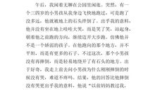 微笑面对失败作文500字