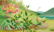 森林报春读后感600字