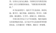 美丽的汉字作文500字