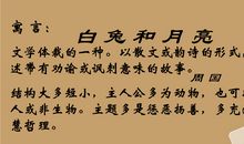 白兔和月亮读后感