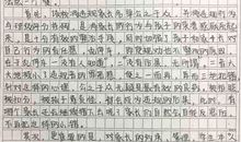 目光为你而停留作文