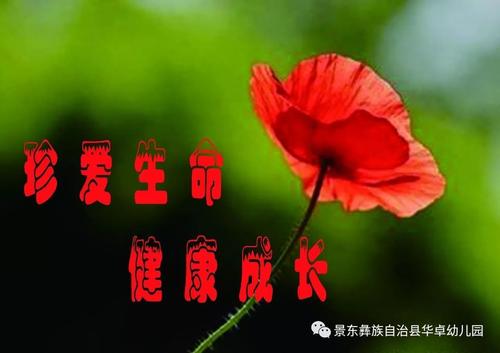 珍惜生命健康成长