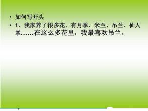 开花乐趣组成
