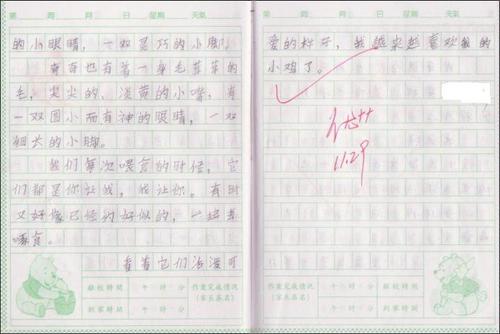 实验组成