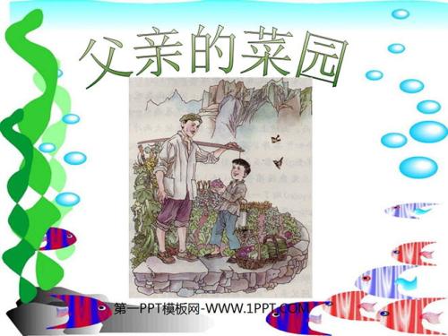 我父亲的菜园