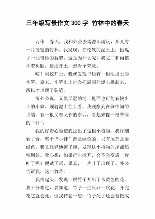夏日风光构图300字