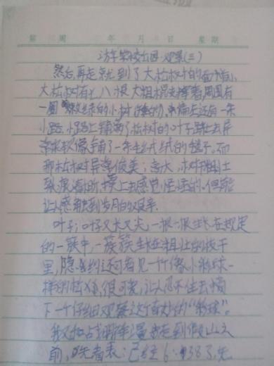 100字作文