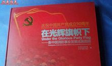 光辉旗帜读后感