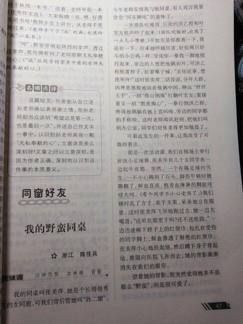 我的论文