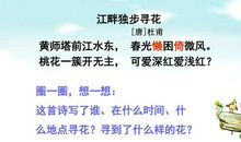 江畔独步寻花读后感