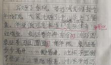 开卷有益小学生作文