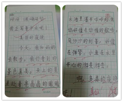 小学日记