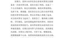 放风筝的作文200字