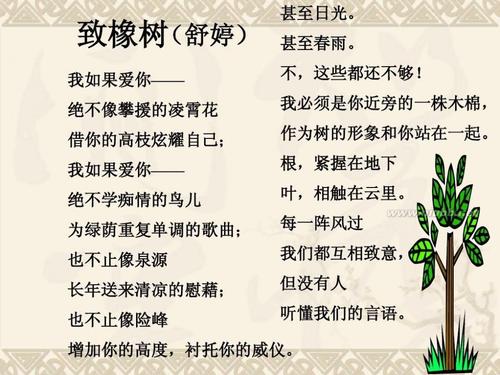 关于现代诗歌的思考