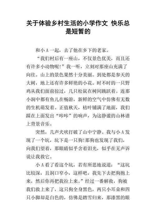 快乐小学生活作文