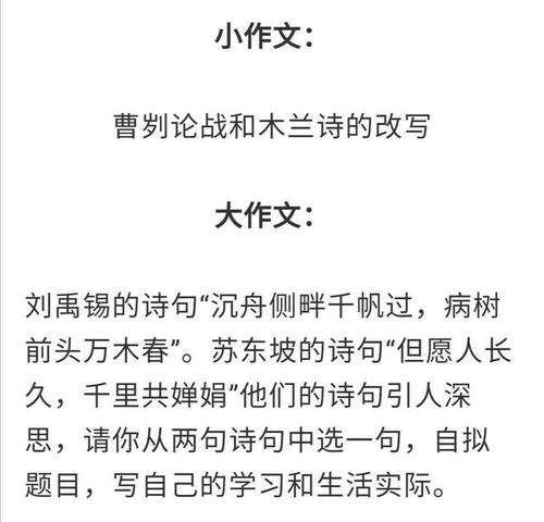 2015年高考满分作文浙江试卷：我手写我的心
