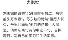 2015年高考满分作文浙江卷:我手写我心
