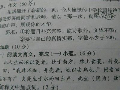 议案论文