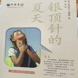 夏季阅读的银顶针