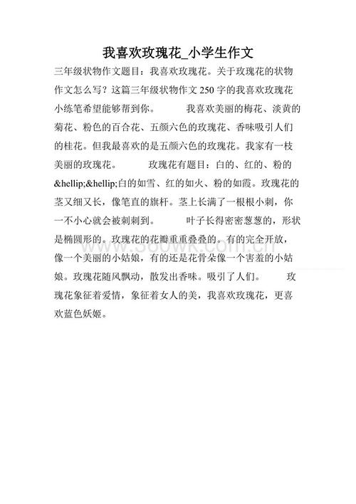 玫瑰作文300字