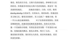 玫瑰花的作文300字