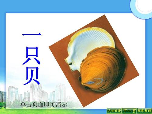 看完贝类之后