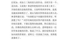 看花灯的作文500字