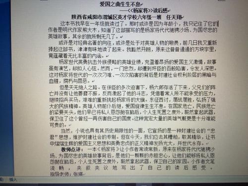 看完爱国电影