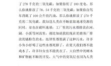 看花灯的作文600字