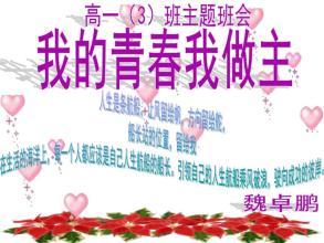 我的青春我做主600句话