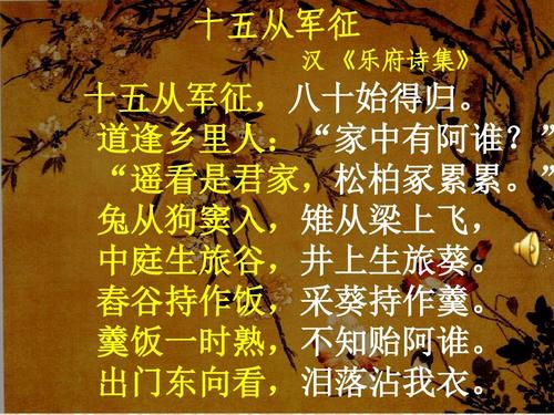 关于第十五次入伍的思考
