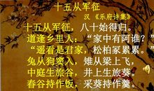 十五从军征读后感