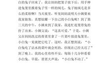 五年级作文写小动物