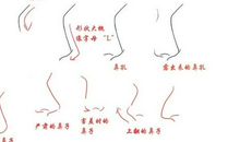 五官争功的作文