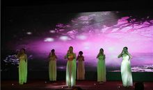 《感恩的心》读后感