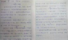 感动小学生作文