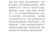 园中趣事读后感