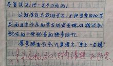 他感动了我作文