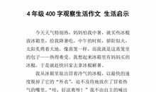 关于生活启示的作文