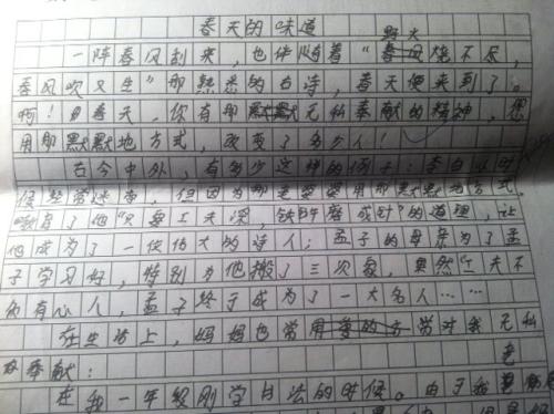 我发现二年级作文