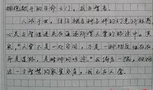 2015年高考满分作文江苏卷:大智若愚