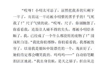 关于争执的作文