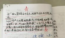 难忘的运动会作文300字