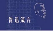 鲁迅全集读后感