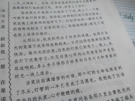 漂亮的小灯组成