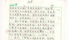 作文我的烦恼300字