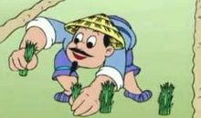 拔苗助长读后感