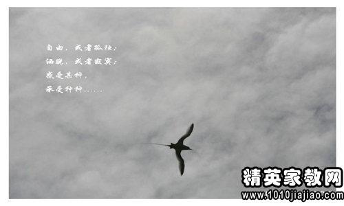 回顾过去，展望未来