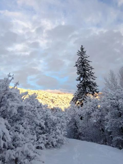 如果我是雪花