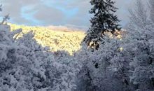 假如我是一朵雪花